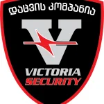 მომხმარებლის ლოგო